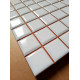 Плитка настенная Liso Brillo Blanco Precorte (2,5x2,5) 20x20