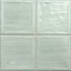 Плитка настенная Noa Fern 20x20