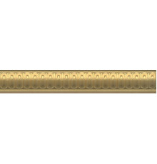 BOA005 Бордюр Борромео золото 25x4