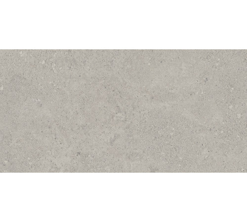 Керамогранит NEWPORT NP 01 - 30,6x60.9х8 - Непол. серый