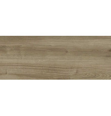 Плитка настенная COLORMIX WOOD  20,1х50,5
