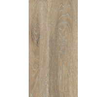 Керамогранит DREAM WOOD DW 02 бежевый 30,6х60,9 Непол