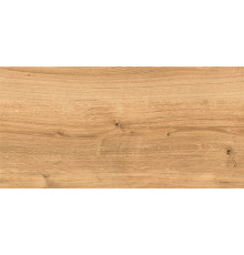 Глаз. керамогранит WS4O112 Woodhouse коричневый рельеф 29,7x59,8