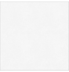 Керамогранит Monocolor sugar white белый PG 01 45х45