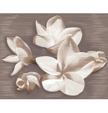 Панно из 2 частей AMATI PLUMERIA ALBA 40,2x50,5