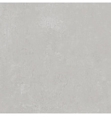 Керамический гранит DD640320R Про Фьюче серый светлый обрезной 60x60