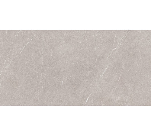 Плитка настенная EBRI GRIS 31,5х63